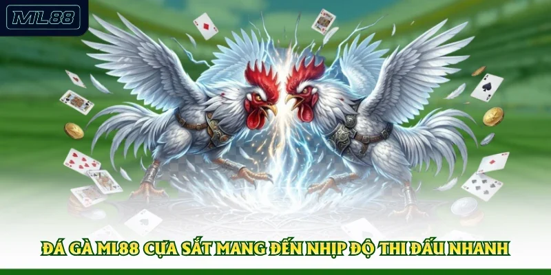 Đá gà ML88 cựa sắt mang đến nhịp độ thi đấu nhanh