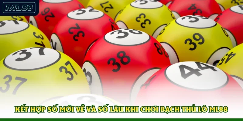 Kết hợp số mới về và số lâu khi chơi bạch thủ lô ML88