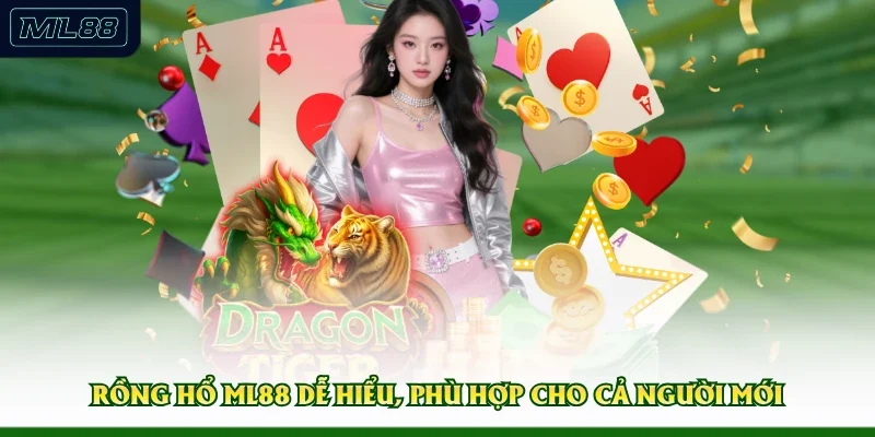 Rồng Hổ ML88 dễ hiểu, phù hợp cho cả người mới