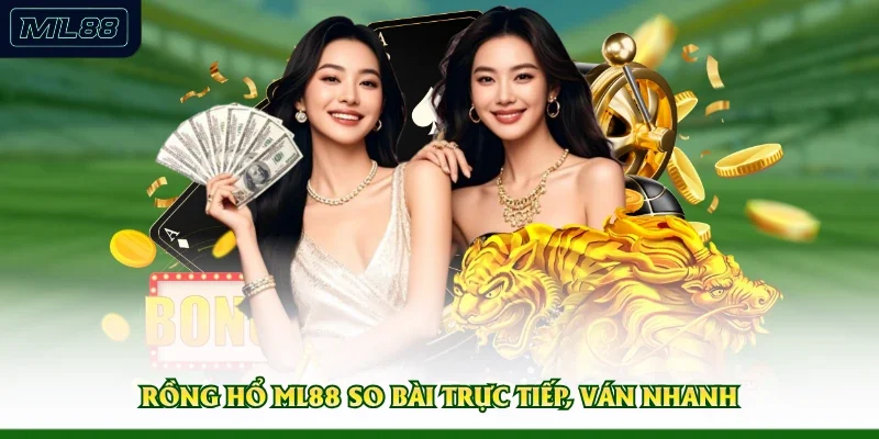 Rồng Hổ ML88 so bài trực tiếp, ván nhanh