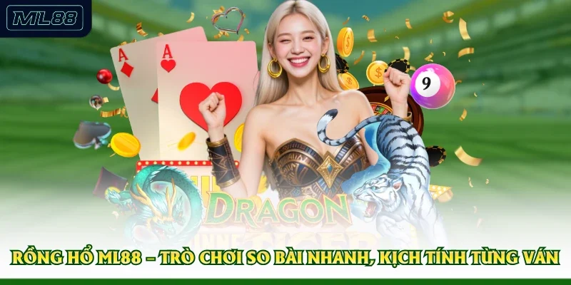 Rồng Hổ ML88 – Trò Chơi So Bài Nhanh, Kịch Tính Từng Ván 