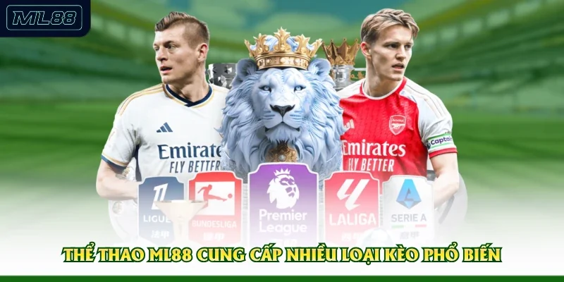 Thể thao ML88 cung cấp nhiều loại kèo phổ biến